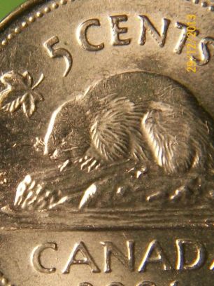 1991-Bare-Back-Beaver?